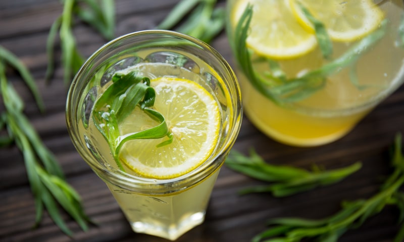 Limonad-s-tarhunom_site