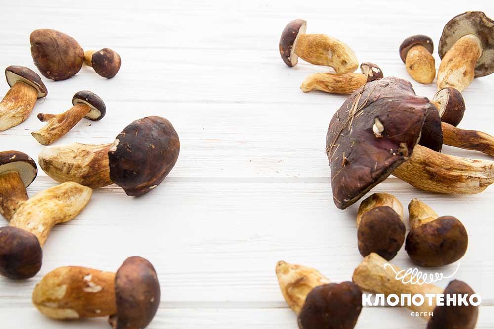 Як заготувати гриби на зиму