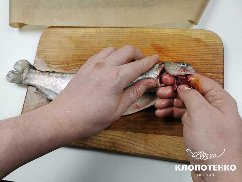 Удалите жабры