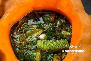 Quick pickled cucumbers in a pumpkin