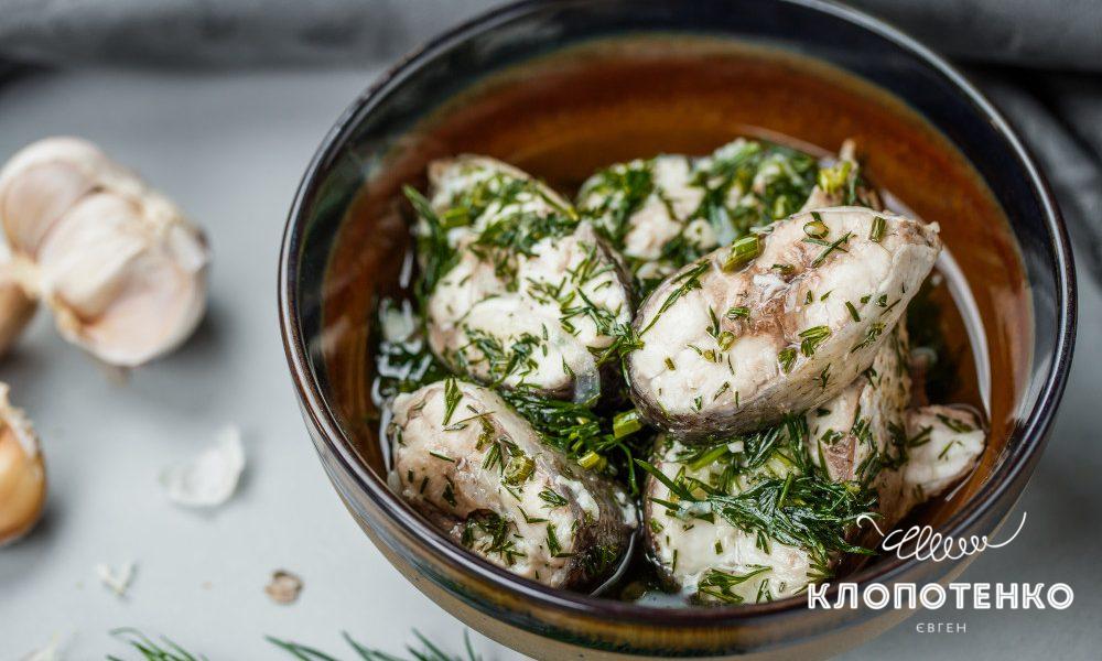 саламур изтолстолобика