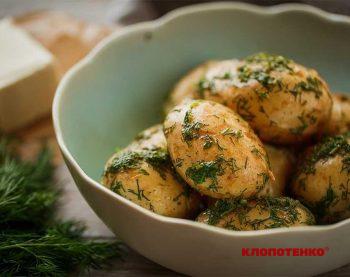 Молода картопля з кропом