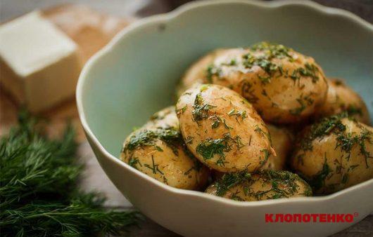 Молода картопля з кропом