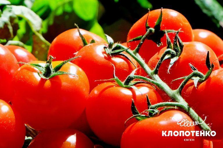 Гречка с овощами: простой рецепт от Евгения Клопотенко