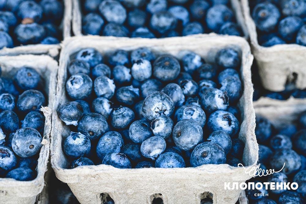 Користь лохини