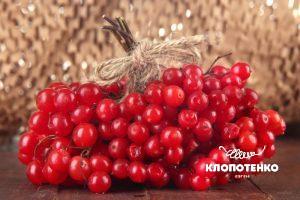 як заготовити калину на зиму