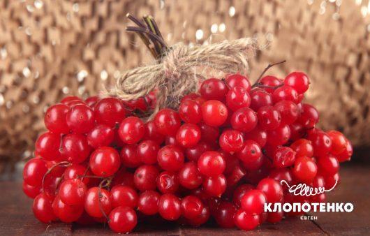 Зберігаючи користь. Як заготовити калину на зиму