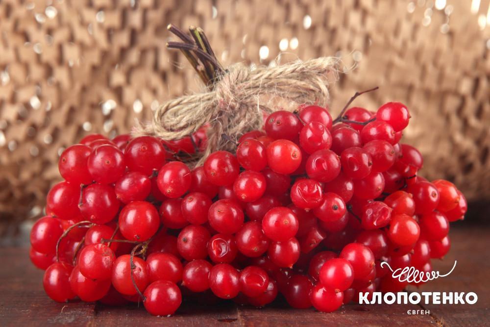 як заготовити калину на зиму