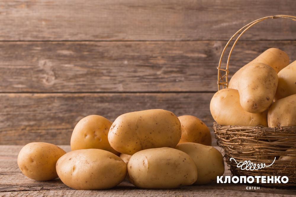 Правила зберігання картоплі у квартирі