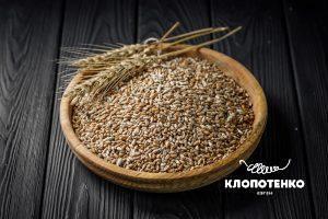 користь пшениці
