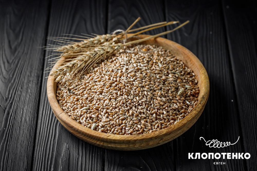 користь пшениці
