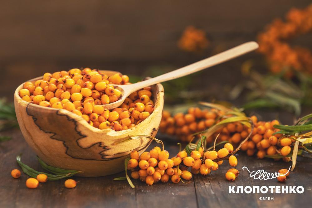 як заготовити обліпиху на зиму