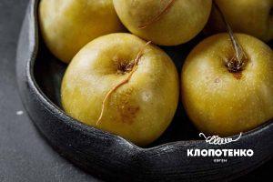 Що таке ферментація