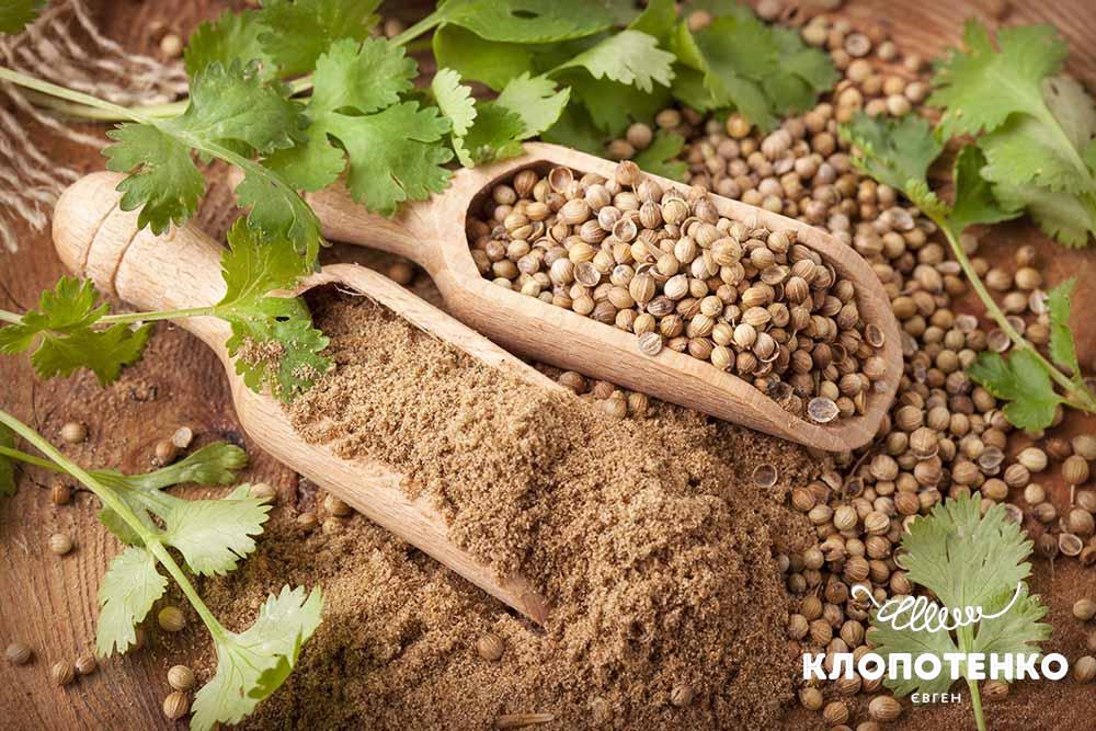 Спеція коріандр