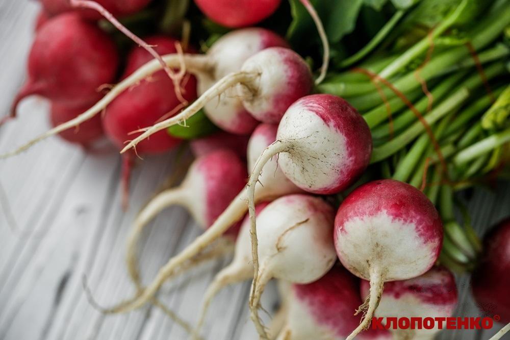 користь редиски