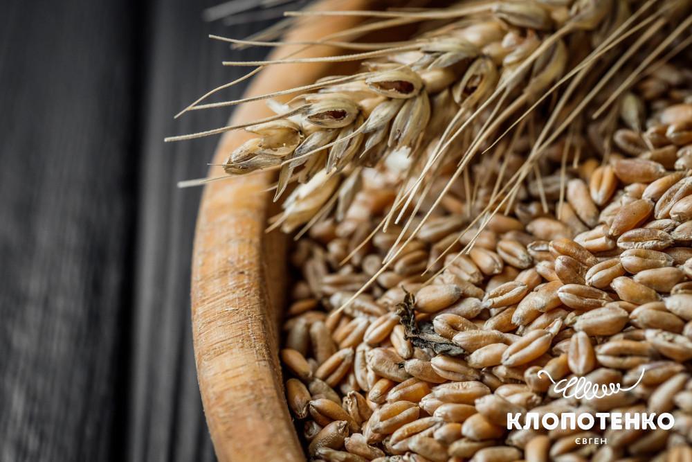 Користь цільнозернових продуктів