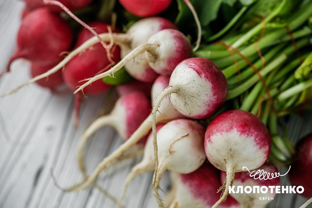 Вітаміни в редисці є в корені і в листі