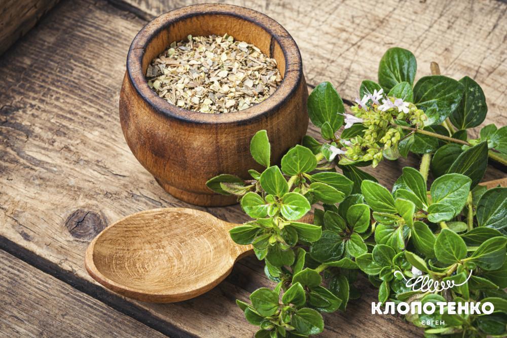 Що таке орегано