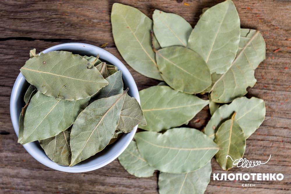користь лаврового листа
