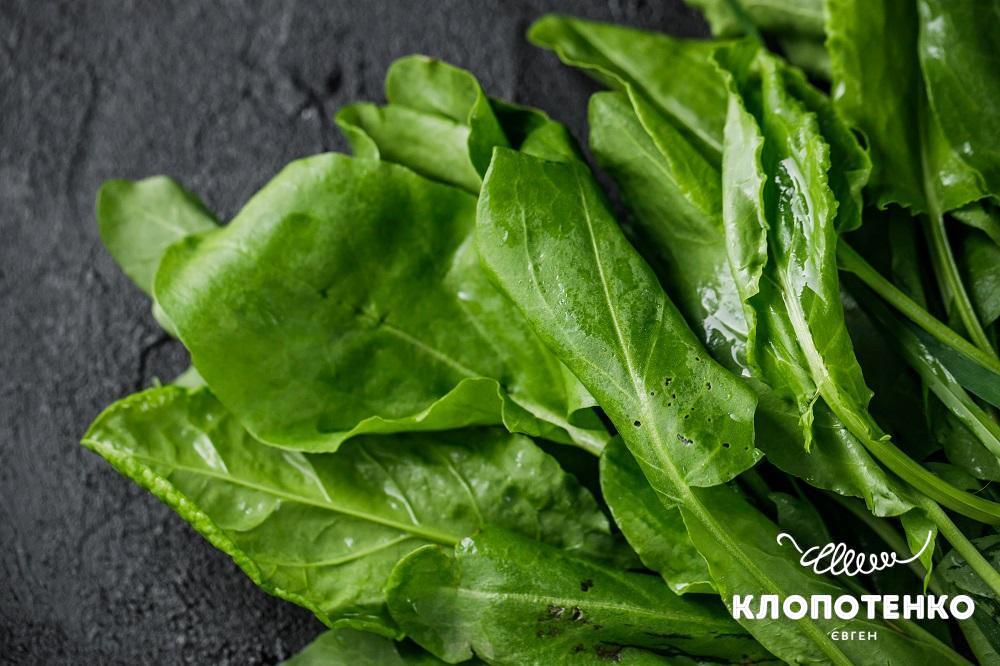 Щавель на зиму можна консервувати і морозити