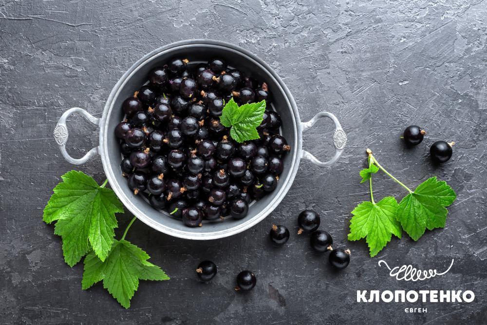 чим корисна чорна смородина