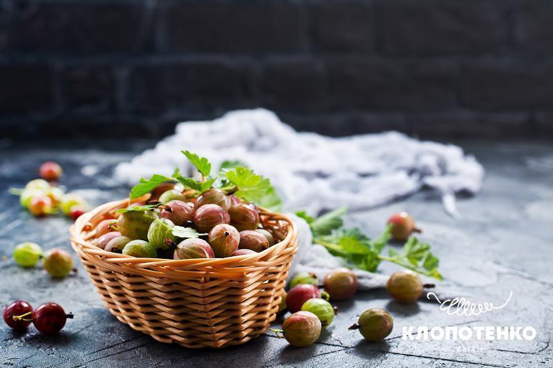 Корисні властивості аґрусу