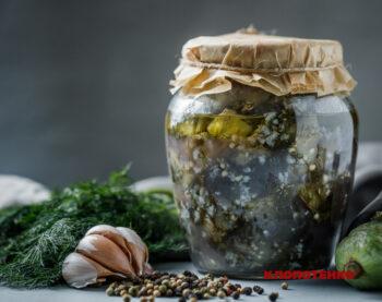 Баклажани як гриби на зиму