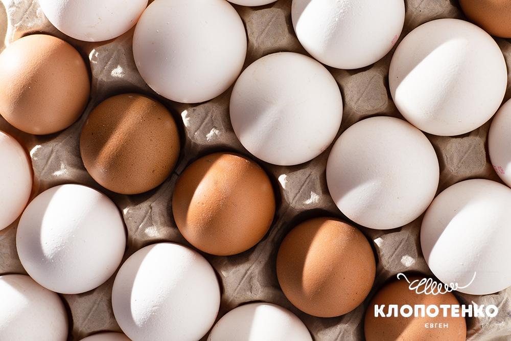 Як колір впливає на користь яєць