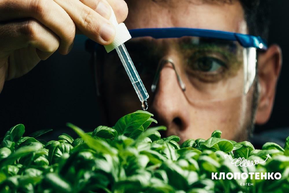 Що таке ГМО і як воно працює