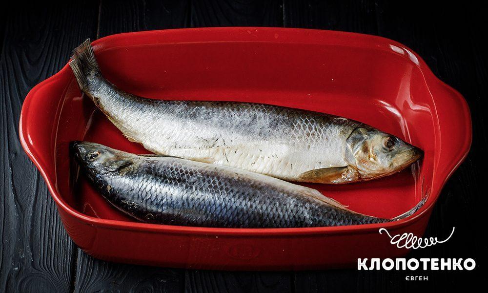 засолений оселедець за рецептом Євгена Клопотенка