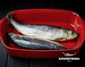 засолений оселедець за рецептом Євгена Клопотенка