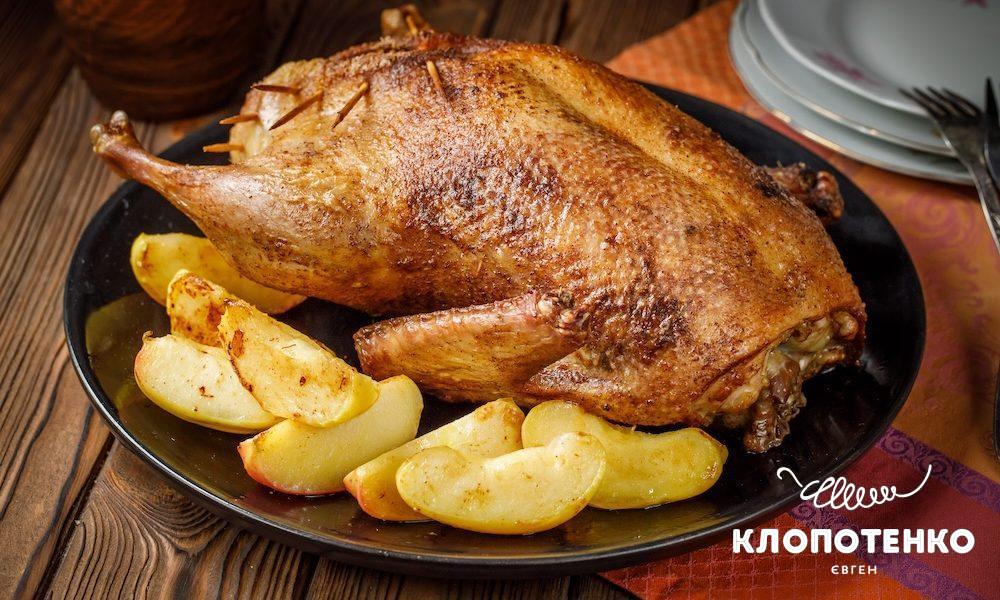 рецепт качки в духовці з яблуками