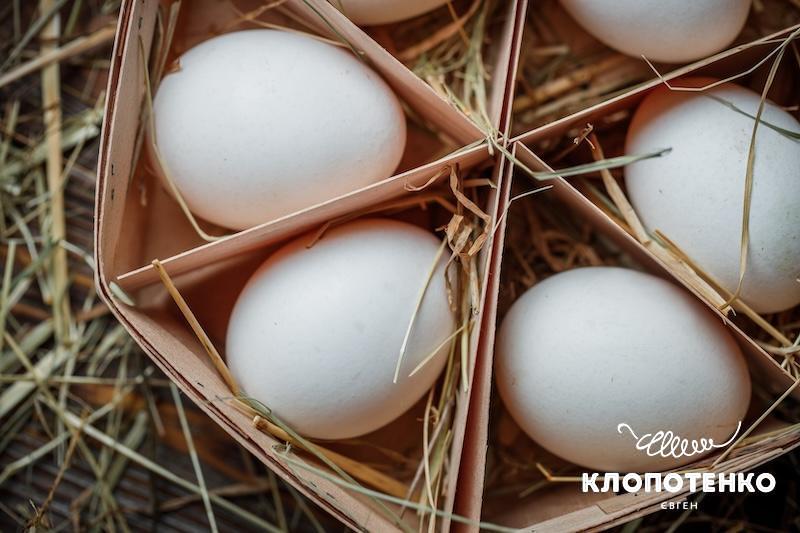 Користь яєць