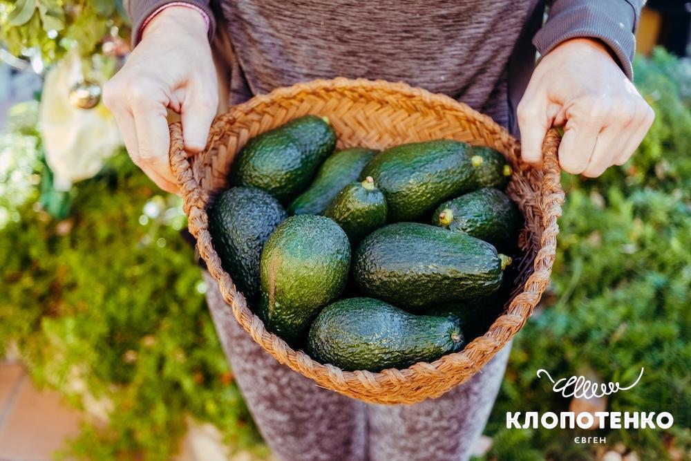 Чим корисний авокадо для жінок