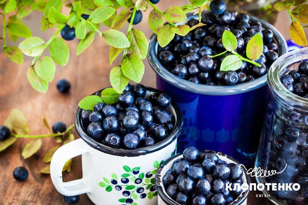 Чорниця користь для очей і не тільки