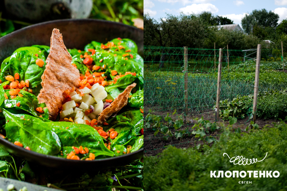 Ферма 100 років тому вперед