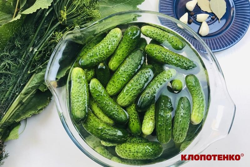 як засолити огірки