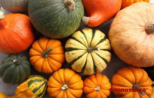 Користь гарбуза, калорійність та найкращі способи приготування