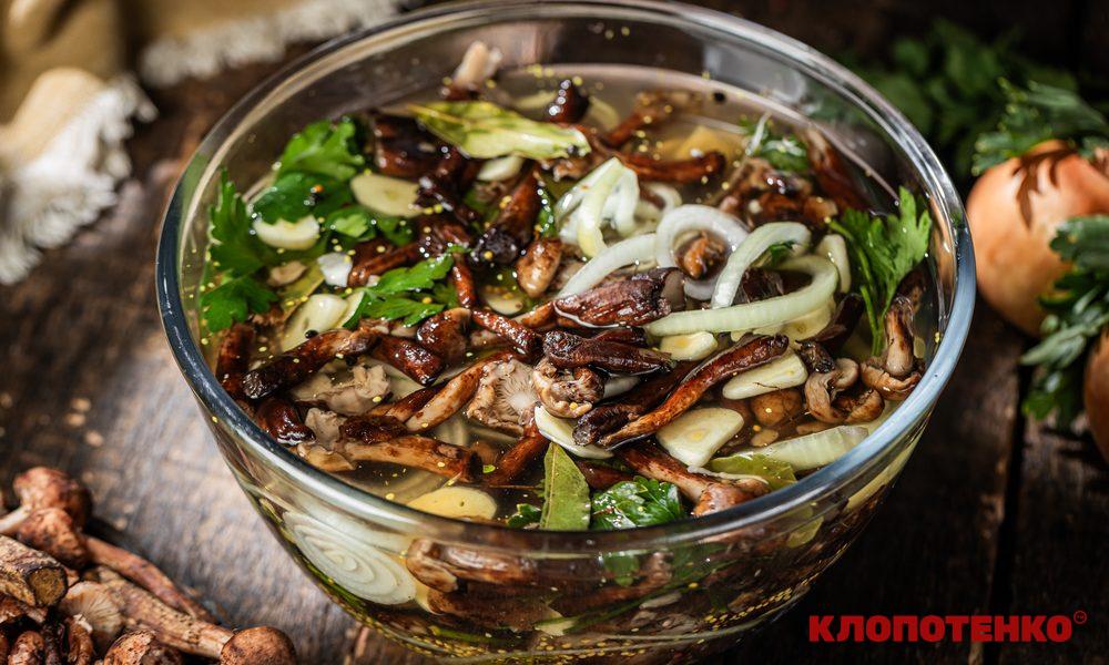 квашені опеньки