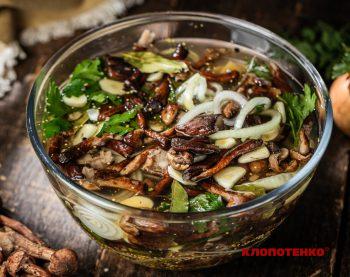 квашені опеньки