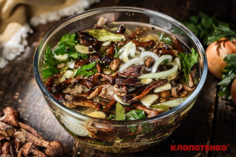 квашені опеньки