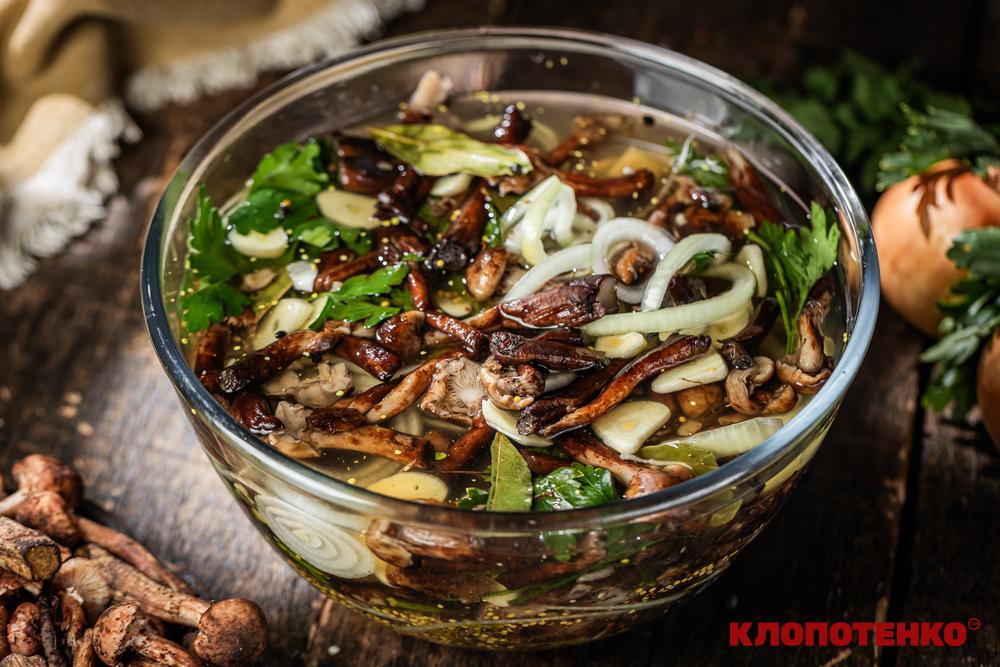 квашені опеньки