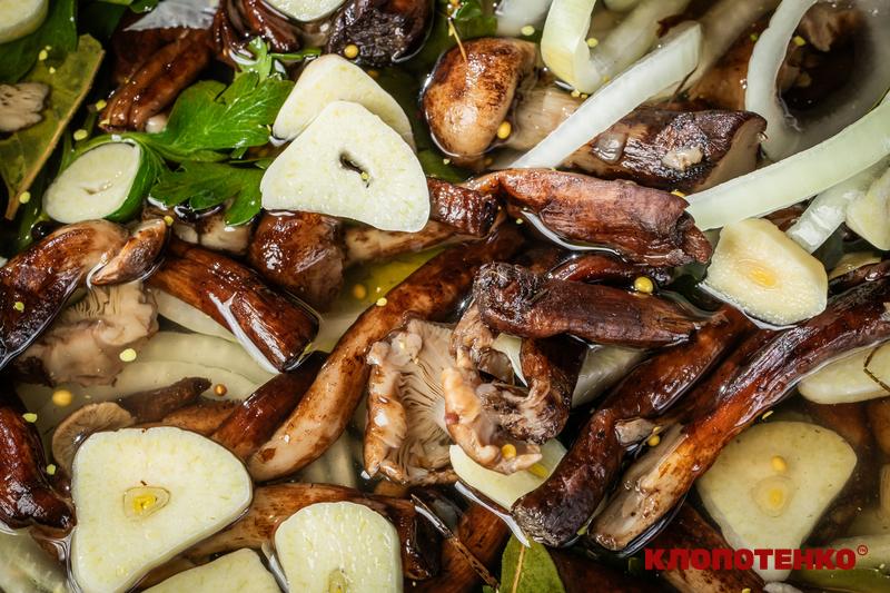 квашені опеньки