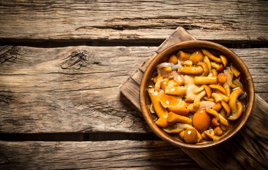 Скільки варити опеньки та як їх правильно чистити: детально про підготовку опеньок до приготування