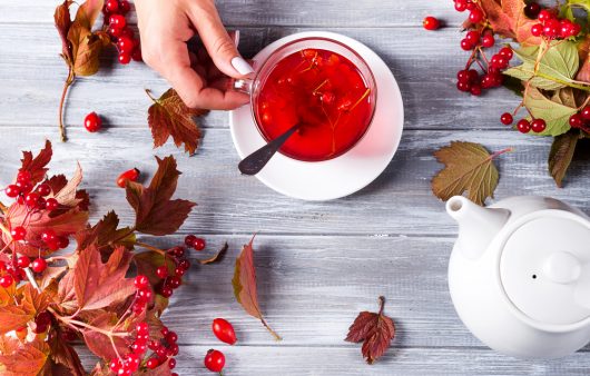 Чай з калини від кашлю та тиску: як правильно готувати корисний напій