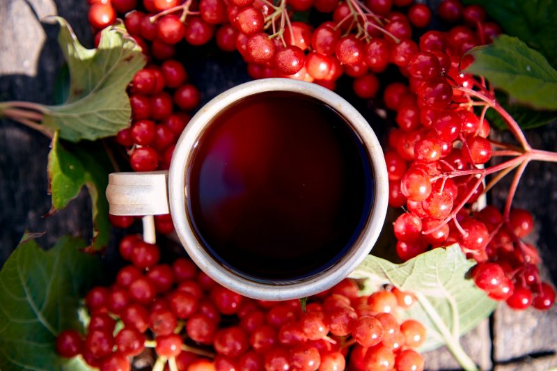 Чпй з калини при кашлі та тиску