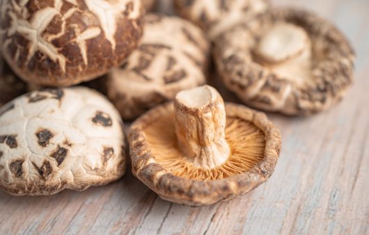 Користь грибів для здоров’я мозку: що таке ерготіонеїн та чому він вам потрібен