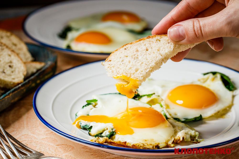 джерела білка