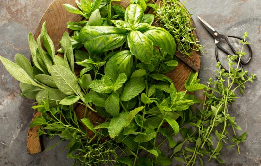 Неочікувані джерела кальцію. Топ-9 трав та спецій, корисних для міцності кісток 