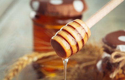 Бразильські вчені перетворили какао на унікальний мед, насичений антиоксидантами та стимуляторами